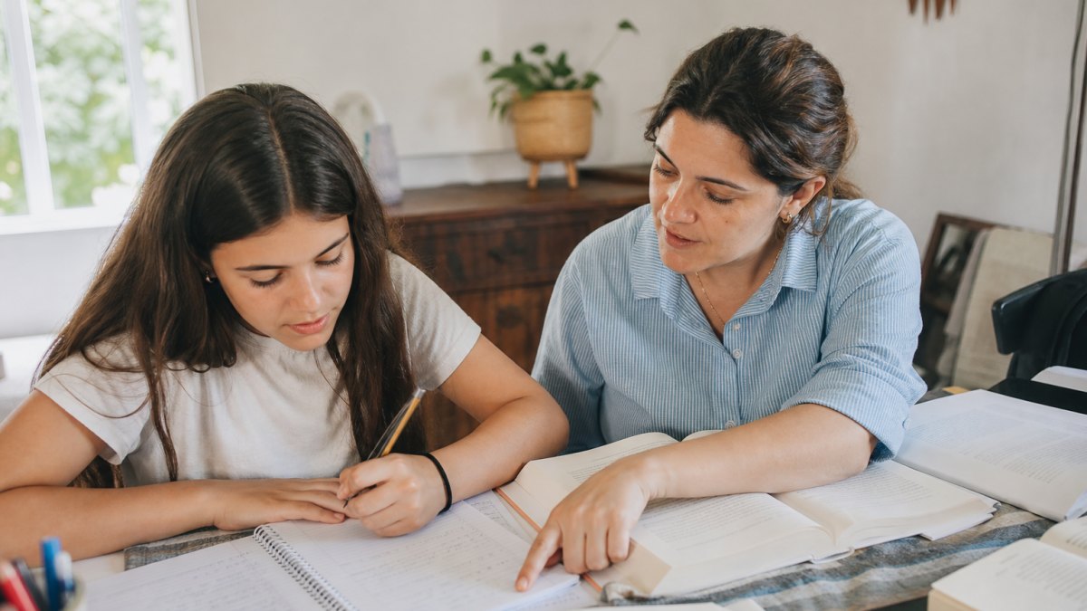 Cómo cotizar clases particulares